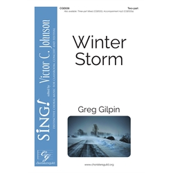 Winter Storm - Two-part