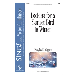 Looking for a Sunset Bird in Winter (MP3 Accompaniment Track)