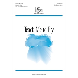 Teach Me to Fly