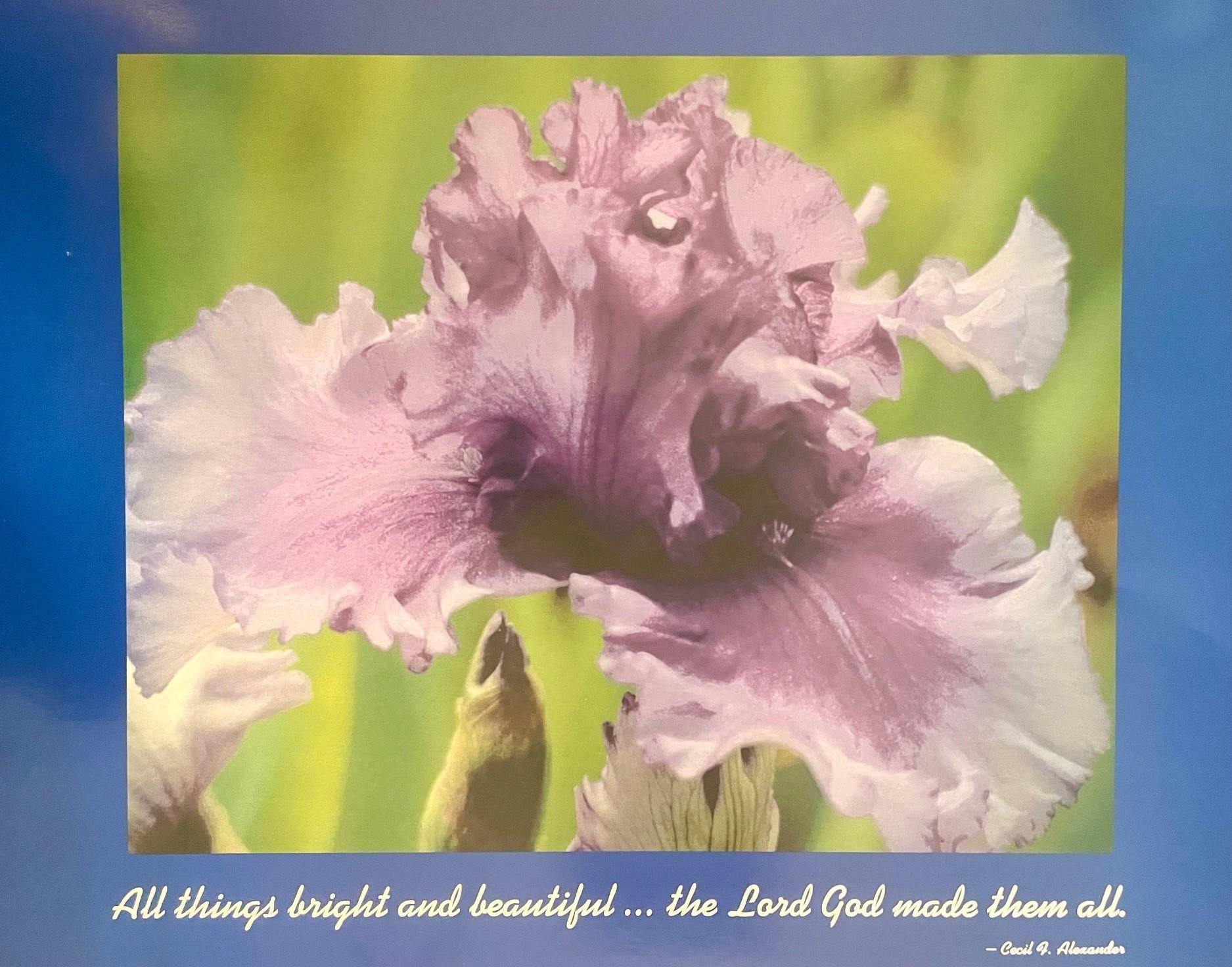 All Things Bright and Beautifulthe Lord God made them all Poster