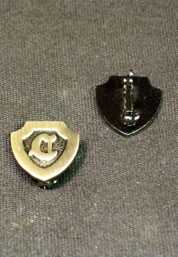 INACTIVE - Silver Plated Pin