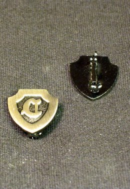Silver Plated Pin